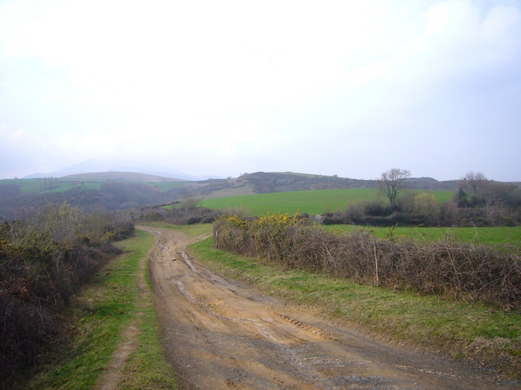 Chemin balade sur Ibarron