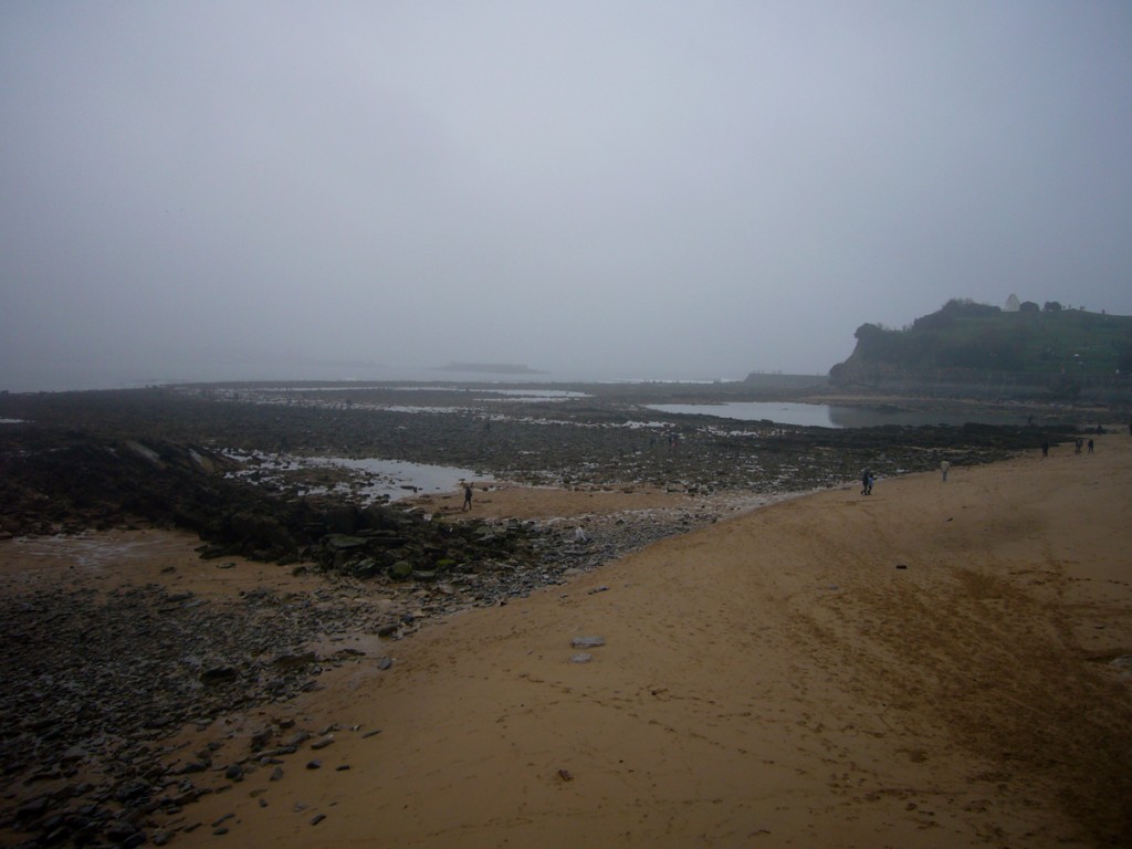 Marée du siécle - Pays Basque