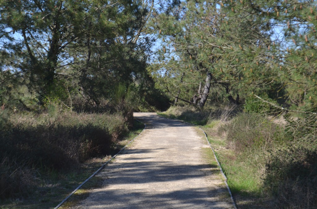 Sentier Parc Izadia