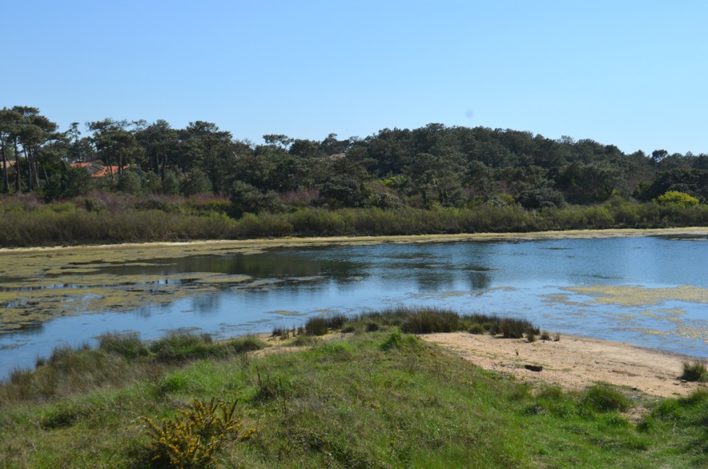 Vue Parc Izadia Anglet